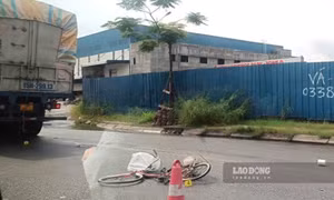 Cụ bà đi xe đạp ở Hải Phòng tử vong sau va chạm với xe đầu kéo