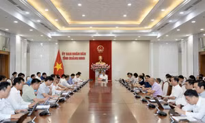 Rà soát tiến độ triển khai khám sức khỏe định kỳ miễn phí cho người dân