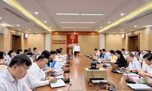 Sớm hoàn thiện Bộ tiêu chí nông thôn mới đáp ứng yêu cầu giai đoạn 2026-2030