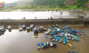 Tăng cường kiểm soát sản lượng thủy sản qua eCDT