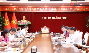Tổ chức bầu Trưởng thôn, bản, khu phố trong tháng 8/2026