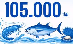 105.000 tấn - là sản lượng thủy sản toàn tỉnh trong 6 tháng đầu năm nay