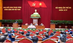 Ngày làm việc thứ tư Hội nghị lần thứ ba Ban Chấp hành Trung ương Đảng khóa XIV