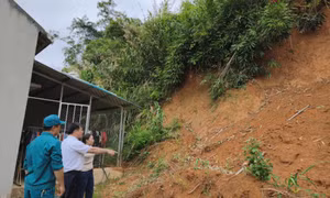 Ba Chẽ: Không để bị động, bất ngờ trước các tình huống thiên tai
