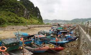 Đặc khu Vân Đồn theo sát diễn biến, chủ động ứng phó ảnh hưởng của hoàn lưu bão số 1