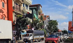 Va chạm với xe tải, người phụ nữ đi xe đạp tử vong tại chỗ
