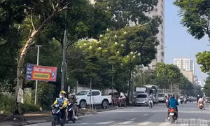 Thời tiết ngày 15/7: Bắc Bộ ngày nắng nóng, Nam Bộ có mưa rào và dông