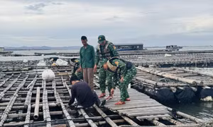 Đồn Biên Phòng Trà Cổ: Sẵn sàng phối hợp xử lý các tình huống phát sinh do bão số 1