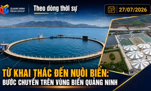 Theo dòng thời sự 27/7/2026: Từ khai thác đến nuôi biển: bước chuyển trên vùng biển Quảng Ninh 