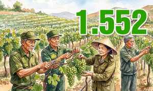 1.552 - là số hộ sản xuất, kinh doanh do cựu chiến binh Quảng Ninh làm chủ