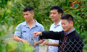 Cầu nối ý Đảng với lòng dân