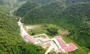 3 người chết, 4 người bị thương trong trang trại chăn nuôi