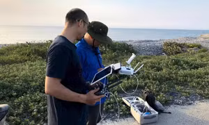 Sử dụng UAV giám sát hệ sinh thái ven biển