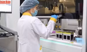 Quy trình xử lý mẫu ADN thân nhân liệt sĩ tại GeneStory