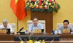 Sửa Luật Xuất bản: Cần kiến tạo hành lang pháp lý vượt trội cho xuất bản số