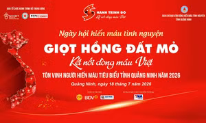 19 cá nhân và 16 gia đình tiêu biểu sẽ được tôn vinh tại Chương trình “Hành trình đỏ” 2026