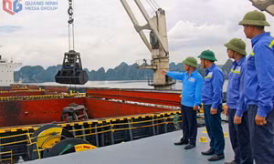 Binh đoàn 19 nâng cao hiệu quả sản xuất kinh doanh