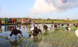 Lễ hội Xuống đồng trên vùng đất Phong Cốc