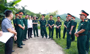 Khảo sát xây dựng tuyến đường dân sinh phục vụ diễn tập khu vực phòng thủ tỉnh năm 2026