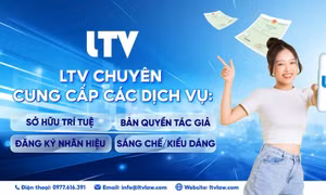LTV Law - Đơn vị kiến tạo nền tảng pháp lý vững chắc cho doanh nghiệp Việt