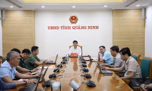 Ban Chỉ đạo quốc gia về chống khai thác IUU họp phát triển bền vững ngành thủy sản