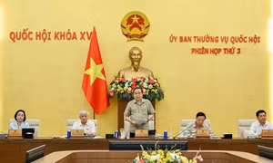 Phiên họp thứ 4 của Ủy ban Thường vụ Quốc hội khai mạc sáng 8/7
