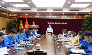 Xây dựng các phong trào Đoàn thực chất, có chiều sâu và sản phẩm rõ nét