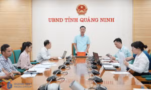 UBND tỉnh: Tháo gỡ vướng mắc cho các dự án ngành điện và cụm công nghiệp