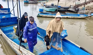 Xã Đầm Hà: Toàn bộ tàu cá và phương tiện phục vụ nuôi trồng thủy sản đã di chuyển đến nơi tránh trú an toàn