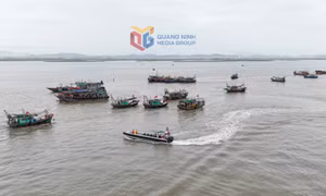 Phường Móng Cái 1 diễn tập phòng thủ dân sự năm 2026