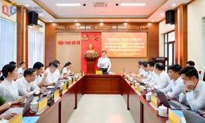 Khai thác hiệu quả tiềm năng, lợi thế, phát huy thương hiệu “Cô Tô - Dấu ấn đảo xanh”