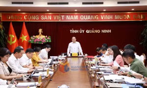 Giao ban Thường trực Tỉnh ủy