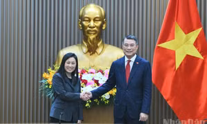 Việt Nam nhất quán coi Hoa Kỳ là một trong những đối tác quan trọng hàng đầu