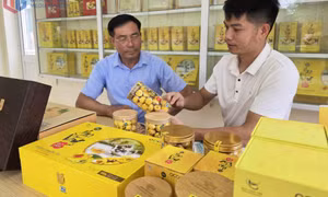 Chuẩn hóa nguồn gốc nông sản Quảng Ninh