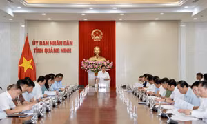 Ủy ban Kiểm tra Trung ương làm việc với Quảng Ninh về tháo gỡ các dự án tồn đọng, kéo dài