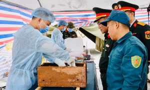 Phấn đấu lấy mẫu ADN hài cốt liệt sĩ tại Nghĩa trang Liệt sĩ Việt Hưng xong trước ngày 9/7 
