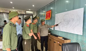Vững vàng trên tuyến đầu bảo vệ nền kinh tế