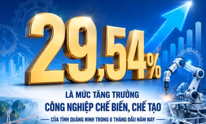 29,54% - là mức tăng trưởng ngành chế biến, chế tạo 6 tháng đầu năm của Quảng Ninh