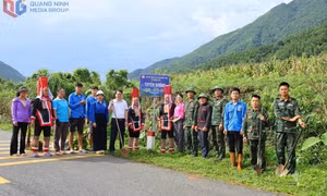 Những người đứng đầu chi bộ khi thôn, bản rộng hơn - Kỳ 1: Người "vác" việc sau sáp nhập