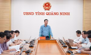 Khẩn trương cụ thể hóa các thỏa thuận trong Biên bản Hội đàm Quảng Ninh - Quảng Tây năm 2026