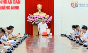 Bảo đảm nguồn cung xăng dầu phục vụ sản xuất, kinh doanh