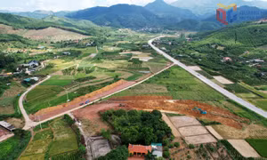 Đẩy nhanh tiến độ thi công dự án đường tỉnh 327