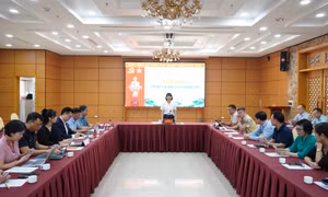 Cao điểm tổ chức các hoạt động chào mừng Quảng Ninh trở thành thành phố trực thuộc Trung ương