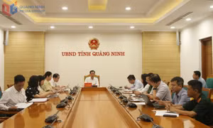 Chương trình khai mạc Miss World 2026 sẽ diễn ra ngày 11/8 tại Quảng Ninh