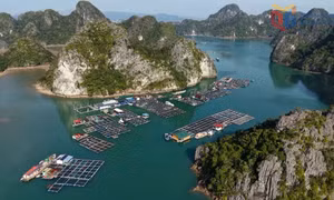 Tháo gỡ "điểm nghẽn" trong phát triển kinh tế biển