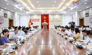 Đoàn công tác liên ngành của trung ương đánh giá cao Đề án thành lập thành phố Quảng Ninh trực thuộc Trung ương