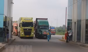 Thông báo mới về xét nghiệm COVID-19 với thực phẩm lạnh xuất khẩu