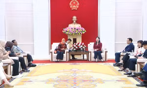 Phó Chủ tịch UBND tỉnh Nguyễn Thị Hạnh tiếp đoàn đại biểu Quốc hội Indonesia