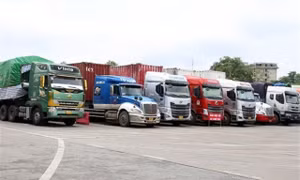 Chủ động về an toàn phòng chống dịch để xuất khẩu thông suốt