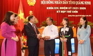 Kỳ họp thứ 9, HĐND tỉnh: Thảo luận tại tổ những vấn đề quan trọng